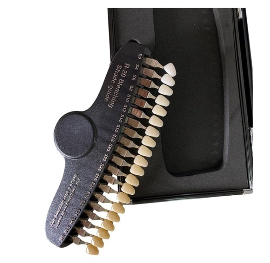 歯科技工 シェードガイド 3DPRO アイダイテ Amazon.co.jp