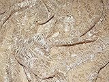Farbe: Champagner Minerva Crafts Tocca Kleiderstoff aus Spitze mit Jakobsmuschel, champagnerfarben, Meterware