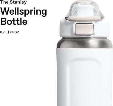 STANLEY 1913 Wellspring Bottle 0.7L - Frost | Cold For 12 Hours - Iced For 40 Hours - Leakproof - BPA-Free - Dishwasher Safe