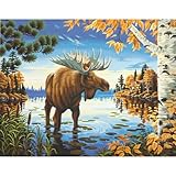Dimensions Crafts Paintworks Paint by Numbers Kit, Majestic Moose