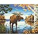 Dimensions Crafts Paintworks Paint by Numbers Kit, Majestic Moose