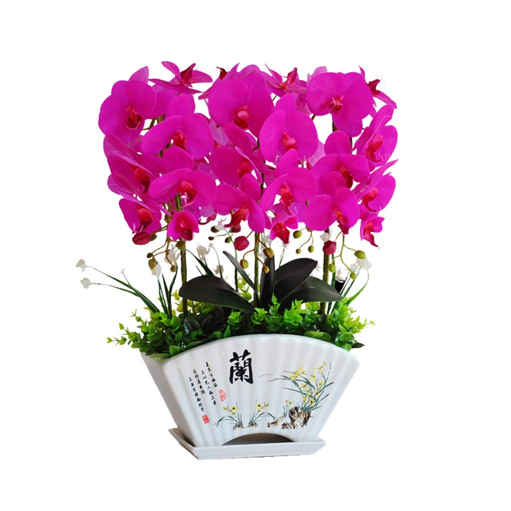 Phalaenopsis fleurs artificielles sans entretien pour une table toujours fleurie