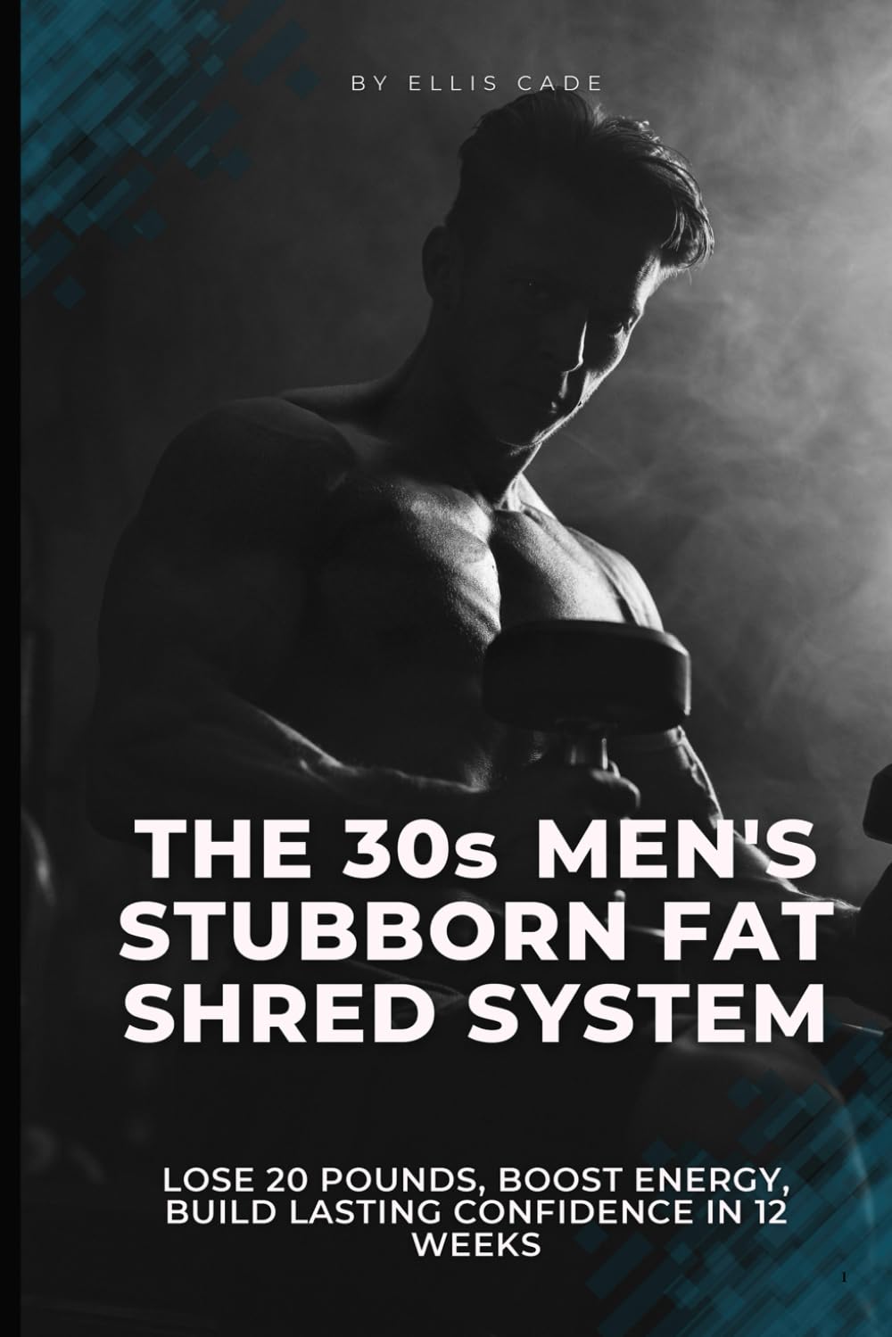 The 30s Men's Stubborn Fat Shred System: Lose 20 Pounds, Boost Energy, Build Lasting Confidence in 12 Weeks