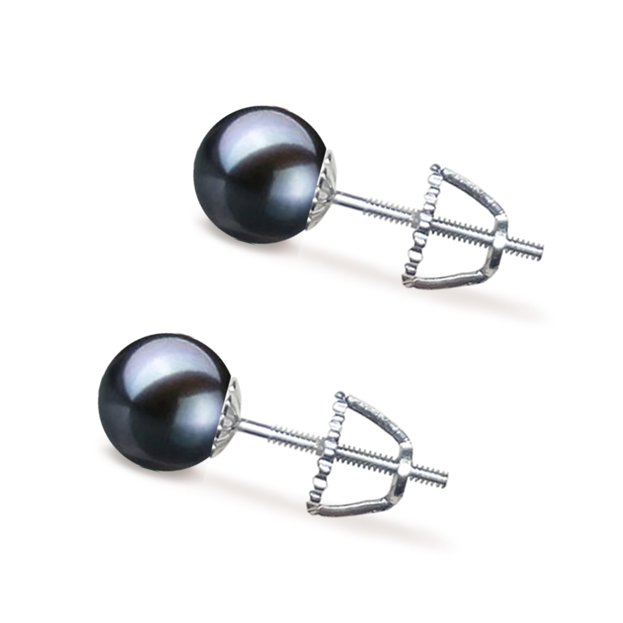 Orien Black Akoya Studs