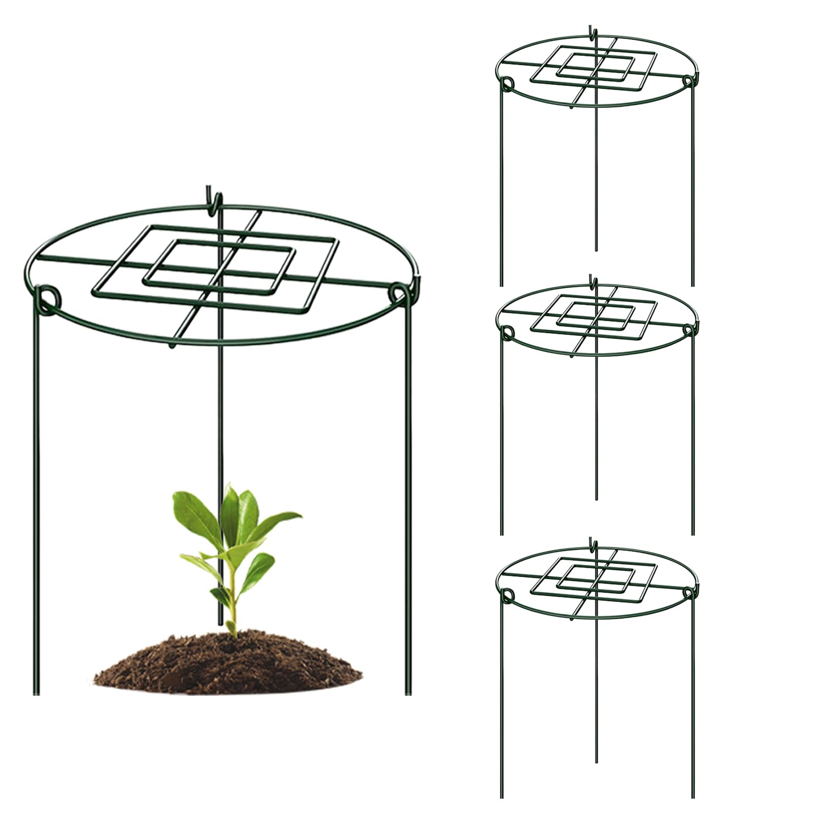 Support pour pivoines haut de gamme | Cage florale pour jardin soigné