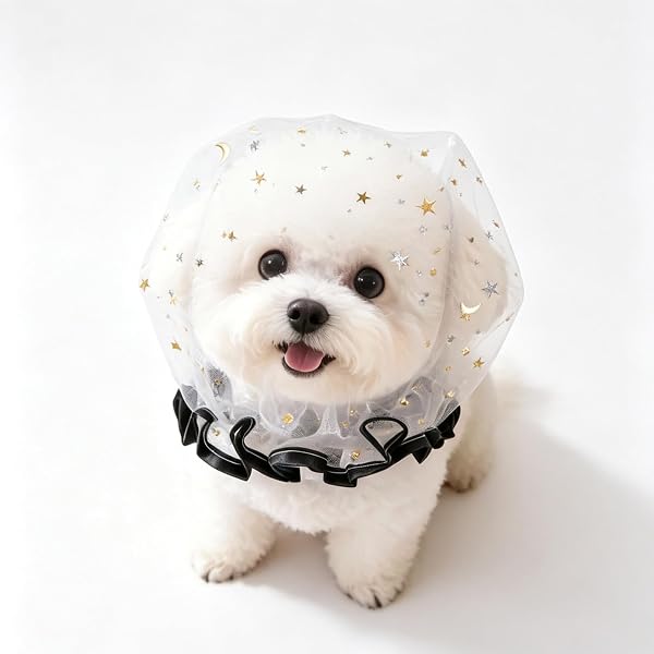 Bornoon 犬用 メッシュ 犬 口輪 カバー ネット スター柄 拾い食い防止 ネット メッシュ 舐め防止 ペット用品 誤飲防止 柔らかい 通气性 汚れ防止 誤食防止 安全 かわいい 小型犬用 (ブラック) - 1