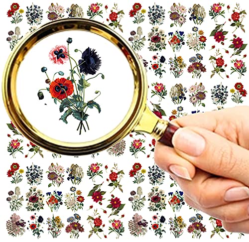 Nail Stickers Decal Transfers (5 Sheets) FLONZNAIL Wild Meadow Flowers Vintage Botanic Book Illustration