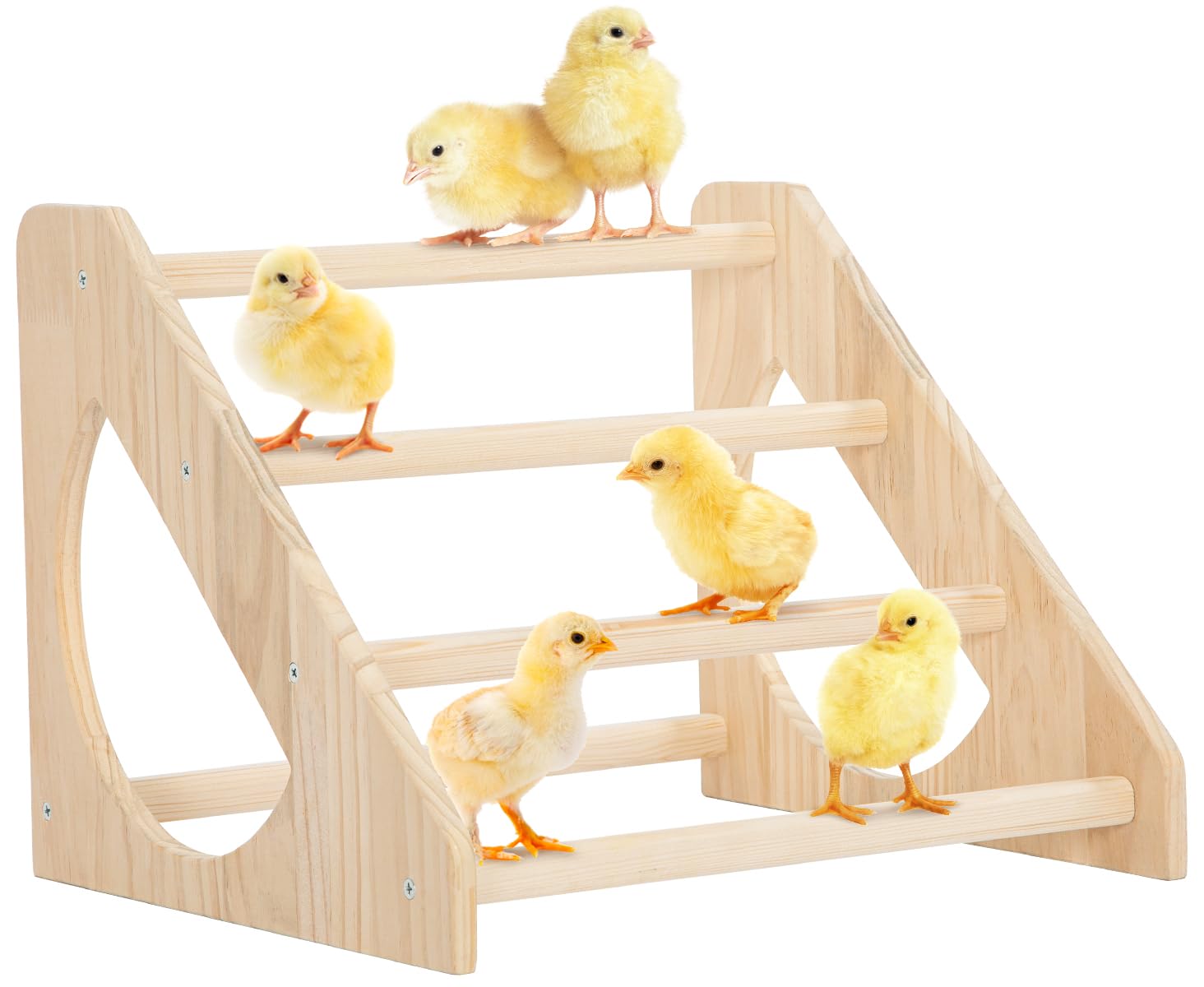 PETSFIT Chick Perch Prevent Rotation Design, Strong Wooden Chicken Roosting Bar, Easy to Assemble and Clean, Fun Toys for Chick Indoor/Outdoor Use