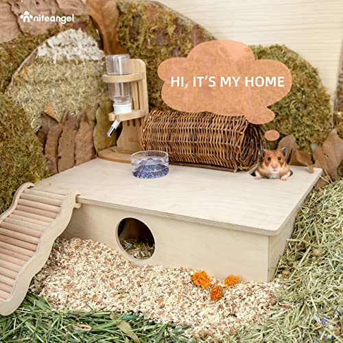 Niteangel Labirinto de casa de hamster multicâmara: esconderijos de vários cômodos e brinquedos de e