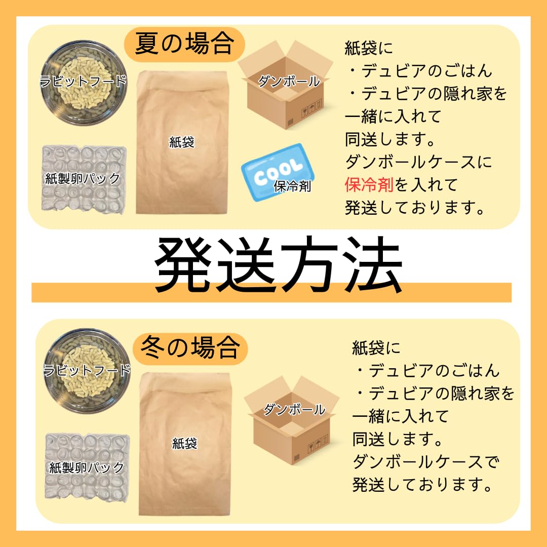 Amazon | デュビア, 各サイズ選択可能あり, Lサイズ(2.5～3.0cm), 死着 