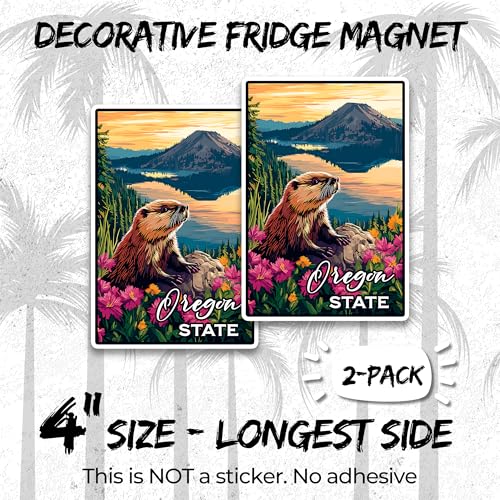 Imán decorativo Oregon State 4 pulg. 2 unidades miniatura 2