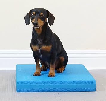 Balance Pad - FitPaws