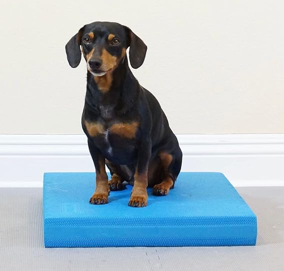 Balance Pad - FitPaws