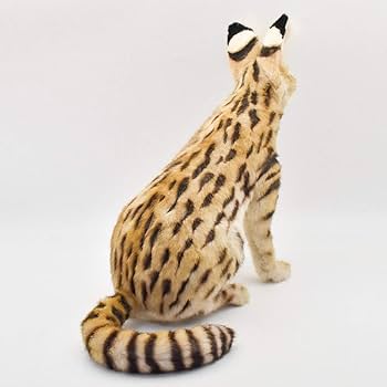 61pxCRFXq5L._AC_UF350,