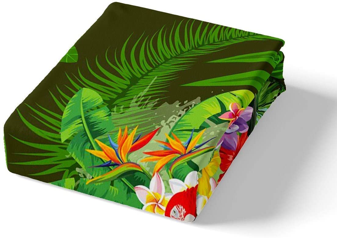 Juego de funda de edredón con estampado de tucán, tamaño King, funda de edredón de hojas de palma tropical, para niños, niñas y mujeres, floral, botánico, safari, animales, pájaros, fresco, natural, 3