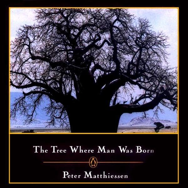 Cover art for The Tree Where Man Was Born