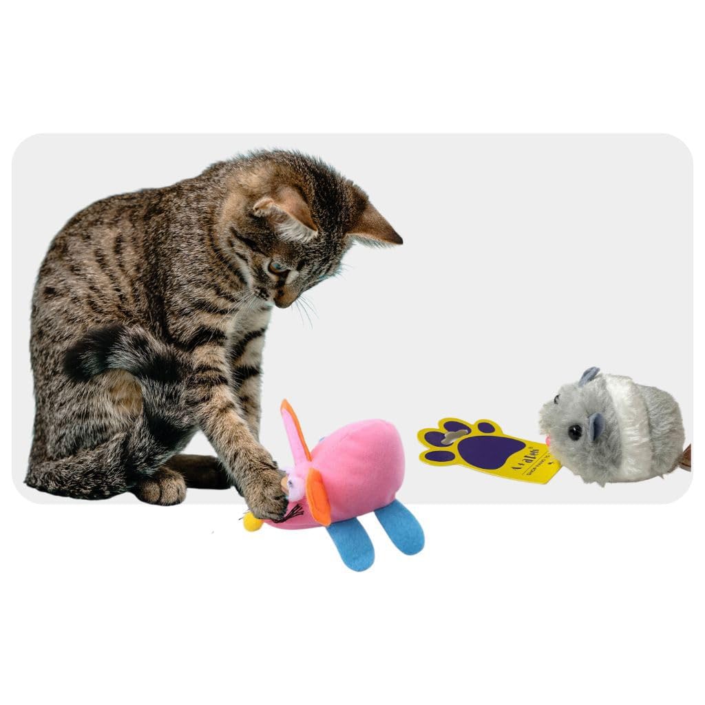 A+a Pets’ Mouse Toy for Dogs and Cats | Vibrating Interactive Fun | Active Moving Self Fun Play (Set of 2) (B0D54CR4PM) Amazon Price History, Amazon Price Tracker