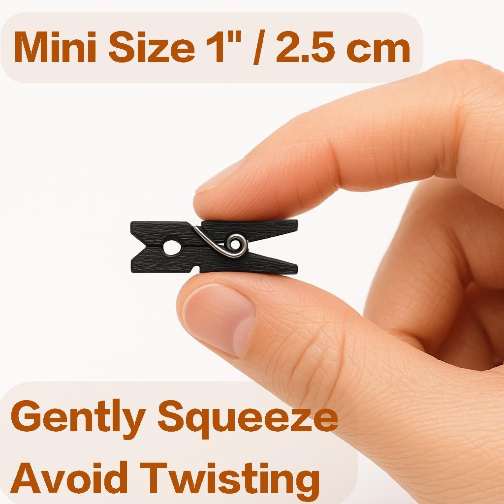 LWR CRAFTS Wooden Mini Clothespins 100 Per Pack 1" 2.5cm (Black)
