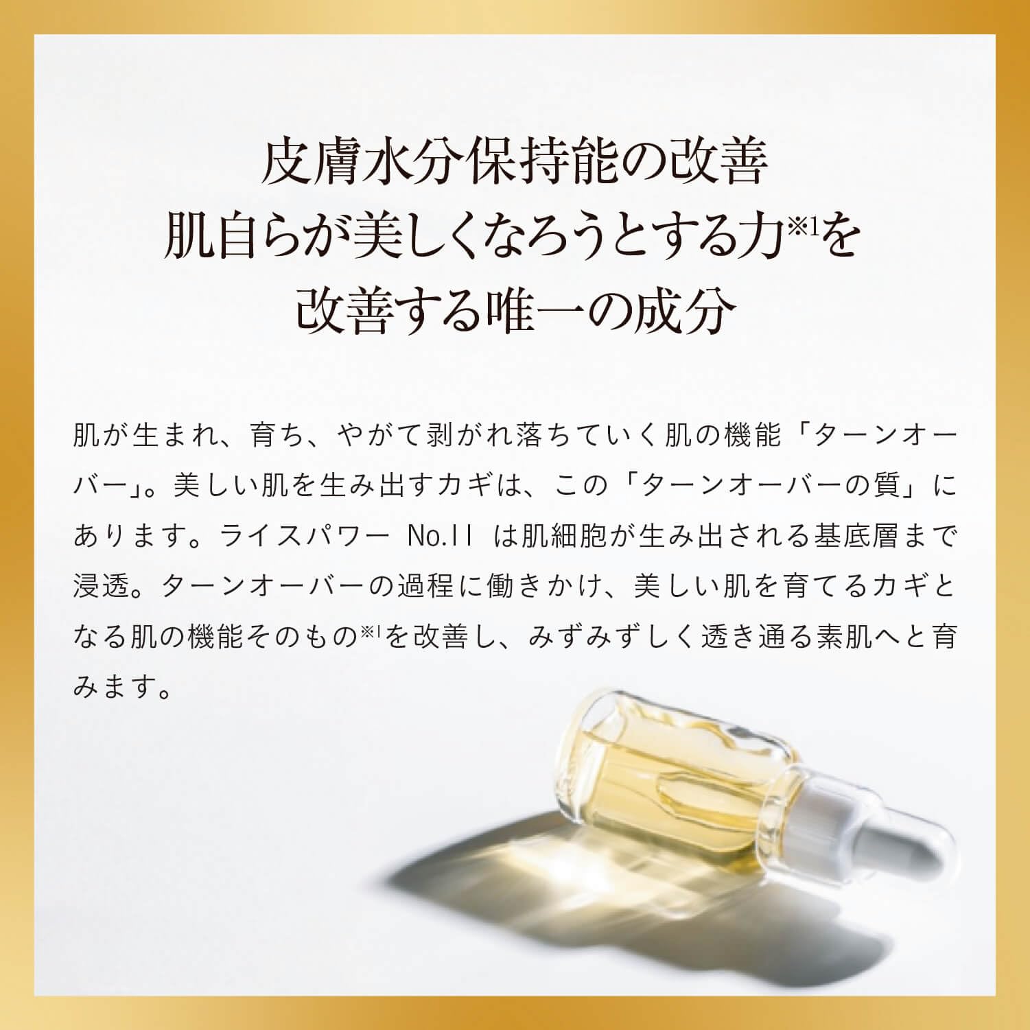 Amazon | ライースリペア プレミアムクリーム No.11 40g 【医薬部外品 