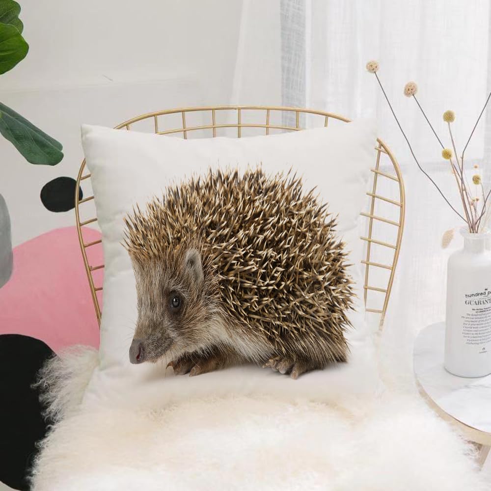 HYMSXW Cushion Cover,Throw Pillow Case Home Decorative for Living Room Bedroom Sofa Chair 20X20 Inch,Hedgehog,Small Cute Mammal with Spiked Hair on Its Back and Sides Wildlife,Pillowcase 50X50cm