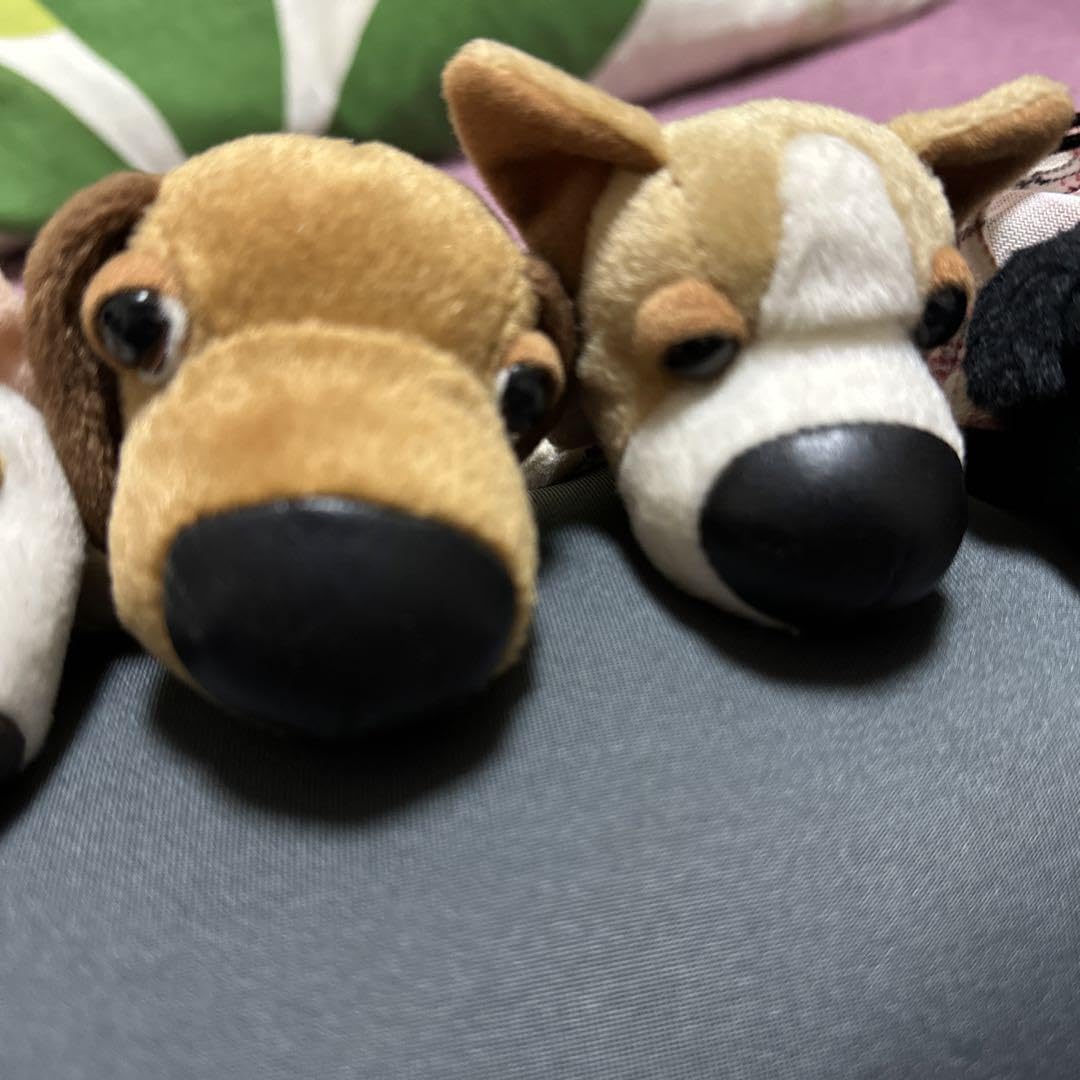 Amazon.co.jp: 鼻でか犬THE DOGミニぬいぐるみ 6点セット UFO