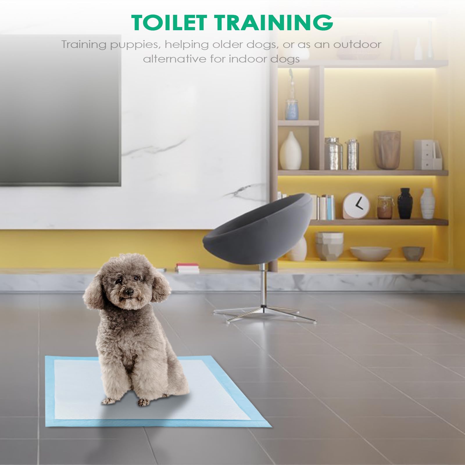 Petsafe Dierenluik 660 Aluminium Xl - Hondenluik - 70x42 cm Wit Transparant - Deur - Pets Place Petsafe Dierenluik 660 Aluminium Xl - Hondenluik - 70x42 cm Wit Transparant - Deur - Pets Place