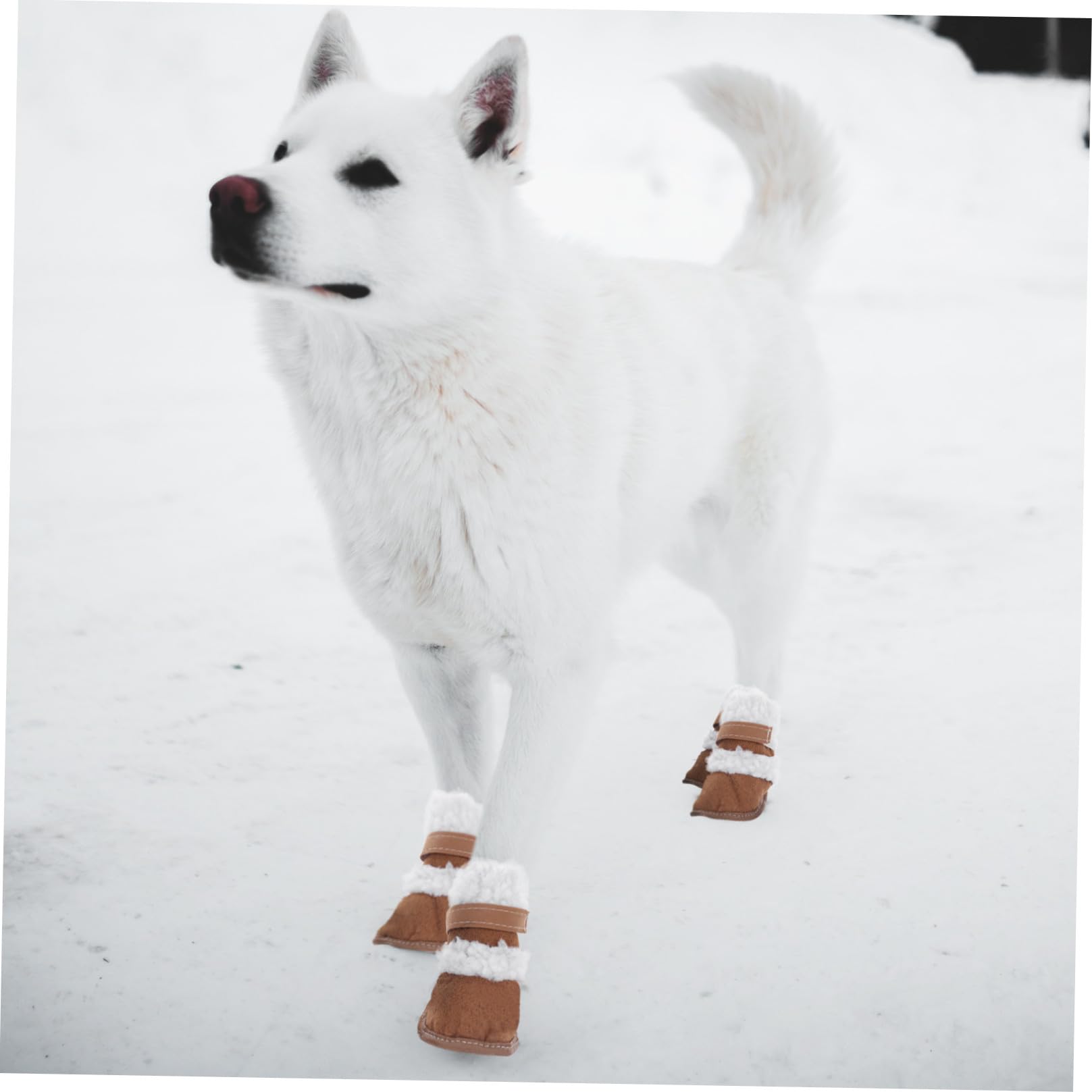 Kisangel 6paare Puppy Boots wasserdichte Und rutschfeste Winterstiefel Für Hunde Teiliges Idealer Pfotenschutz Für Kalte Tage Passend Für Kleine Und Mittelgroße Hunde