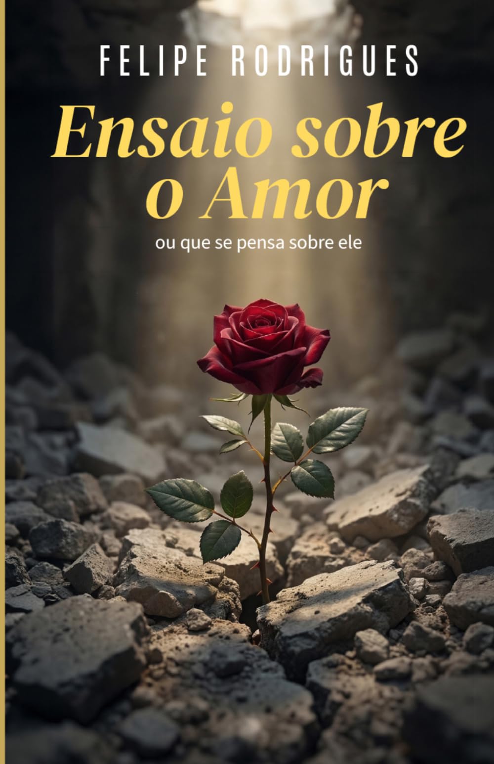 Ensaio sobre o amor: Ou que se pensa sobre ele