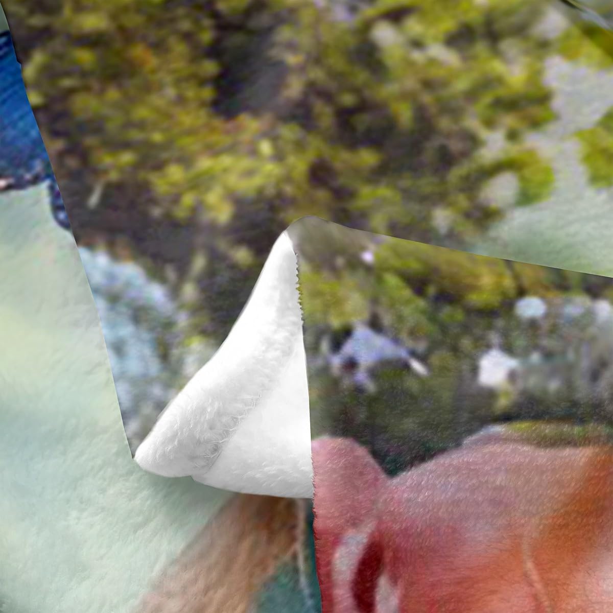 Feelyou Horse Flannel Fleece Throw Blanket Throw 50"x60" 3D Print Horse Fuzzy Blanket for Sofa Couch Kids Adult Boys Girls Pretty Butterfly All Season Bed Blanket Wild Animal Plush Blanket - Image 5