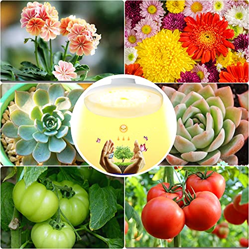 LED Plant Lamp Groeilamp E27 Bollen,Kweeklamp 50 leds,Plantengroei Licht Grow Light for Indoor Plants 4000K Volledig… - Image 8