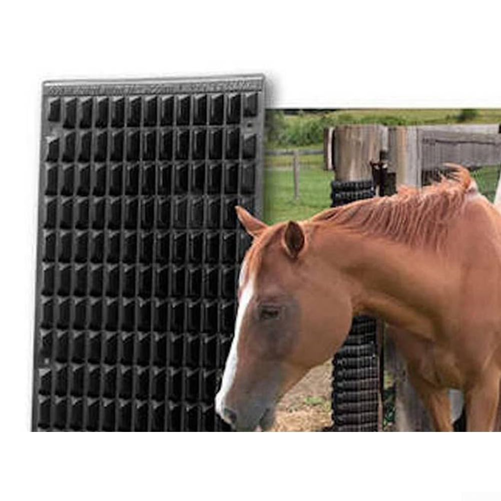Brosse à cheval en plastique pour soulager les démangeaisons