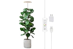 Yadoker Plant Grow Light: Illuminate Your Indoor Plants