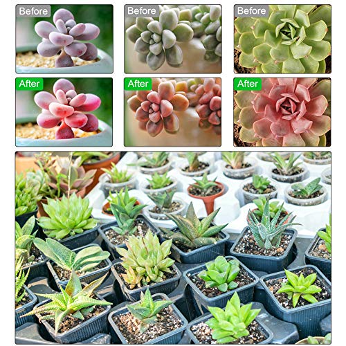 Grow Lights Plant Light for Indoor Plants Lamps Auto ON/Off Timer - Thumbnail 4
