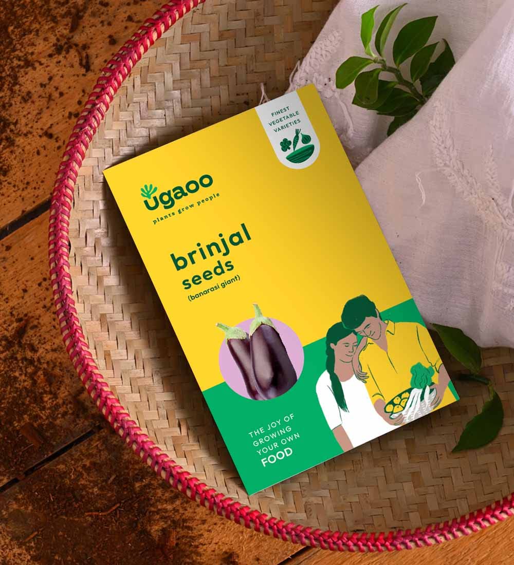 UGAOO Brinjal Banarasi Giant Vegetable Seeds (Pack of 800mg) (B09MLNVLQF) Amazon Price History, Amazon Price Tracker