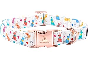 Lionheart glory Easter Dog Collar Boy: Festive Pet Accessory for Spring