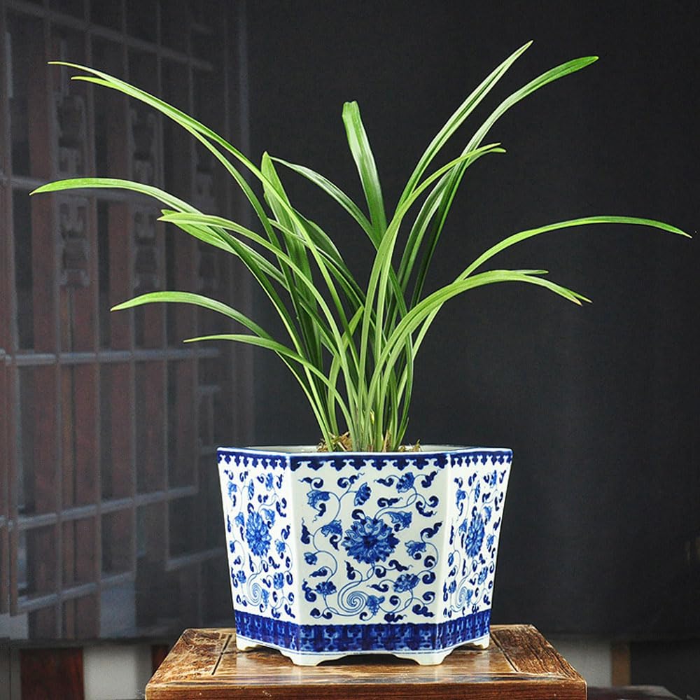 DFGHNBVC Chinoiserie Ceramic Planter Blue And White Porcelain Flower Pots All Hand-painted Bonsai Pot Bohemia Decorative Plant Pot Table Centerpiece For Home Office Table,A
