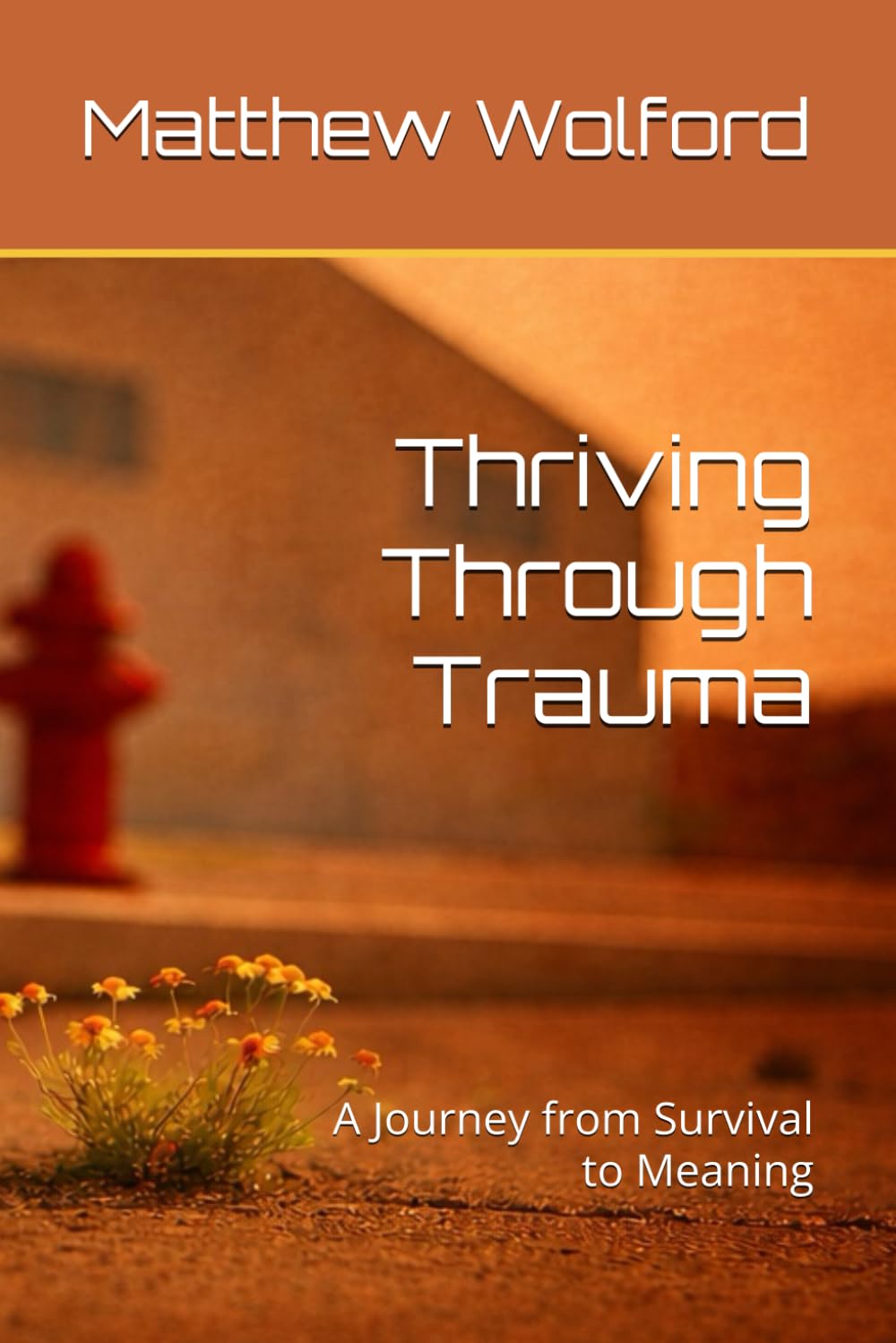 Thriving Through Trauma: A Journey from Survival to Meaning