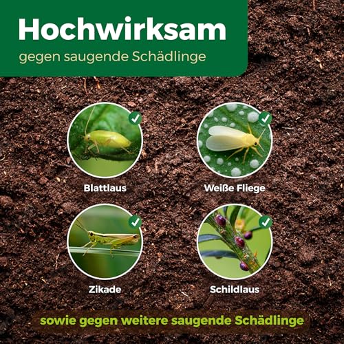 PROTECT GARDEN Lizetan Plus Schädlingsfrei AF, Blattlausfrei, Blattläuse und Schädlinge bekämpfen an Zierpflanzen, Rosen, Obst und Gemüse… – Ansicht 3