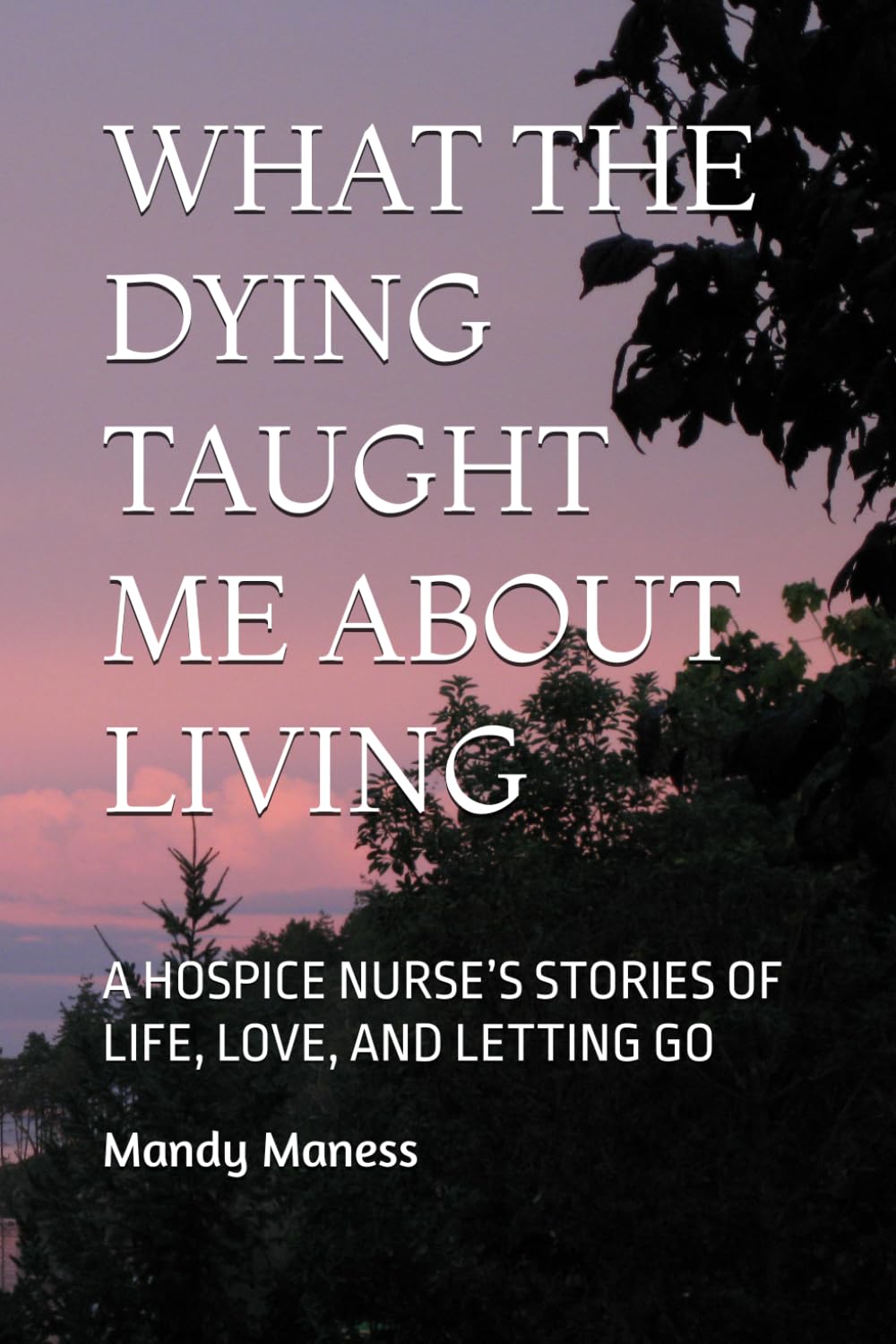 WHAT THE DYING TAUGHT ME ABOUT LIVING: A HOSPICE NURSE’S STORIES OF LIFE, LOVE, AND LETTING GO