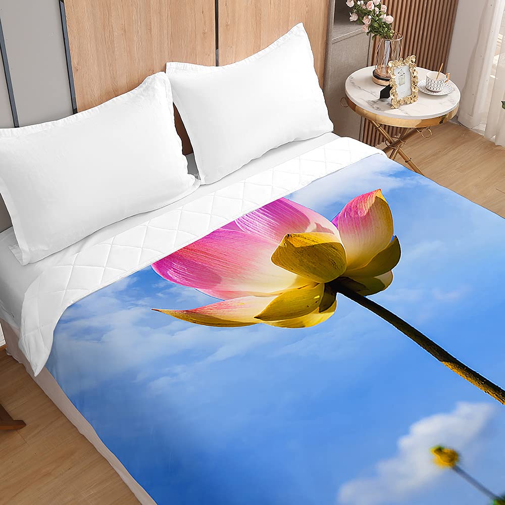 MISSMAO Trapuntino Copriletto Matrimoniale Singolo Reversibile Coperta Primaverile Estivo Copriletto Trapuntato Coperta Letto Leggera Per Camera Da Letto 15 180X200cm - 7