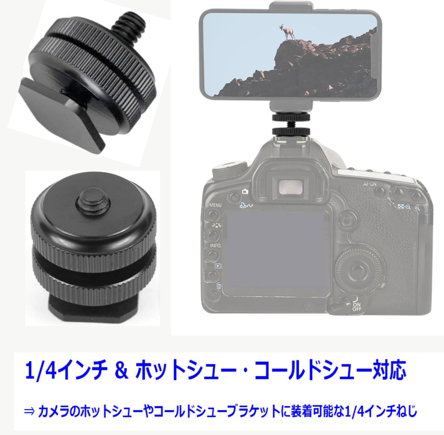 Amazon.co.jp: カメラ ホットシュー マウント 1/4