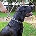 Wellbro Martingale Collars for Dogs, Dog Training Collar, Reflective Pet Limited-Cinch Collar, with Quick-Release Buckle(13.5