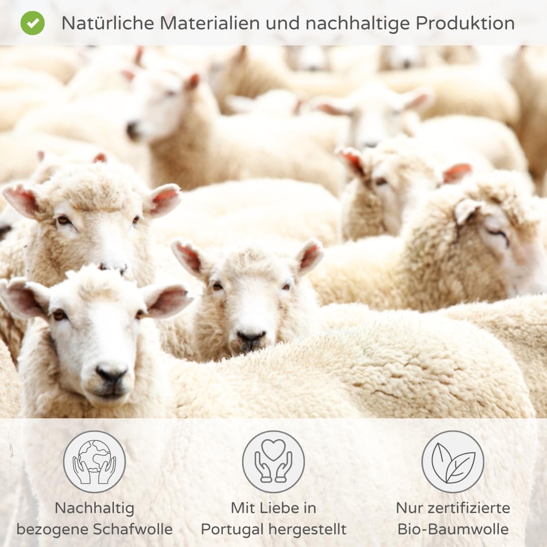 Schafwolldecke - Bettdecke aus Bio Baumwolle - 4 Jahreszeiten - Verschiedene Größen - Atmungsaktiv & weich - Woll Bettdecke mit Swisswool Füllung (290g/m2) - Hochwertiges Ganzjahr Duvet