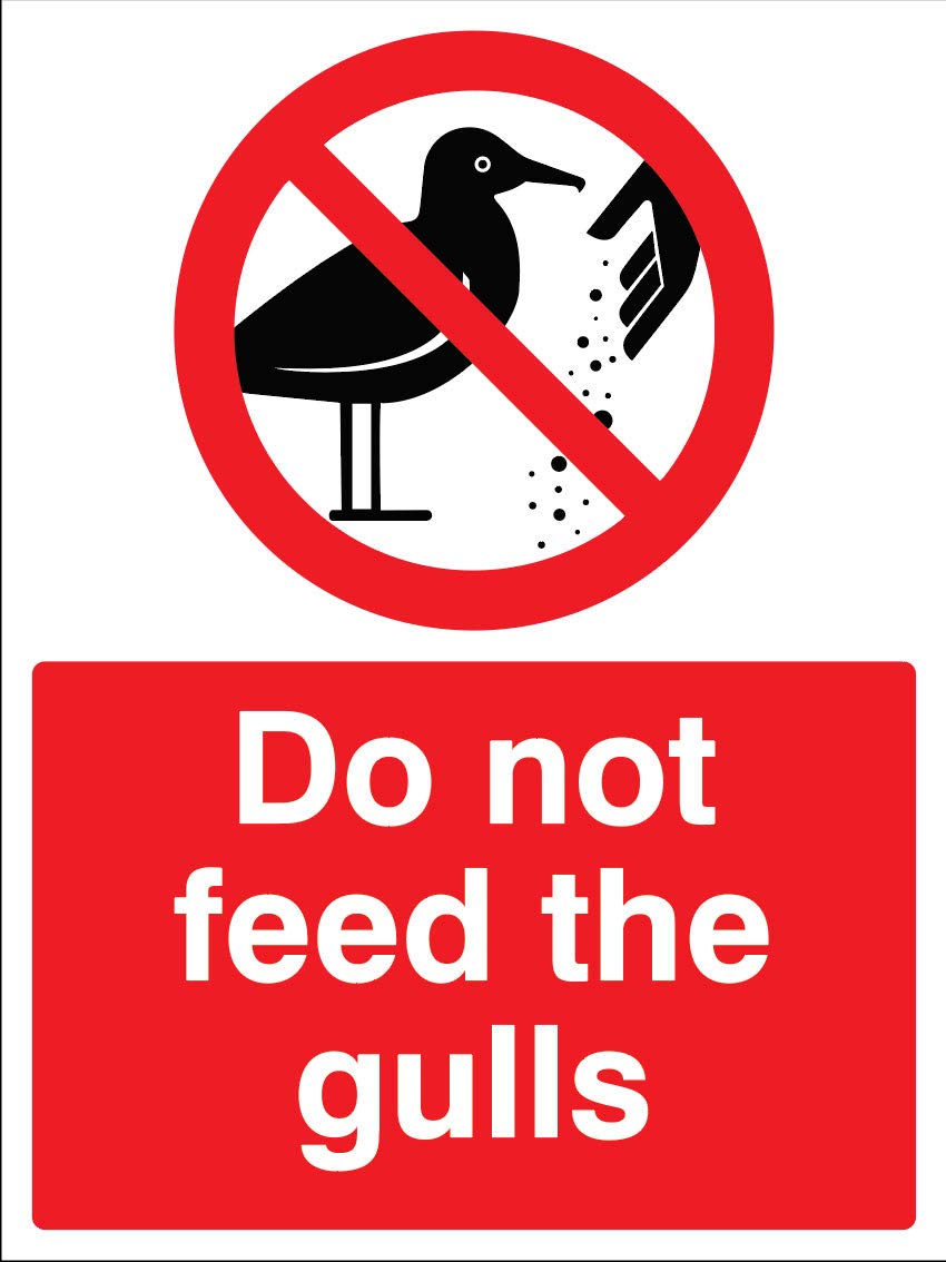 Do not feed the gulls Self Adhesive Vinyl Sign