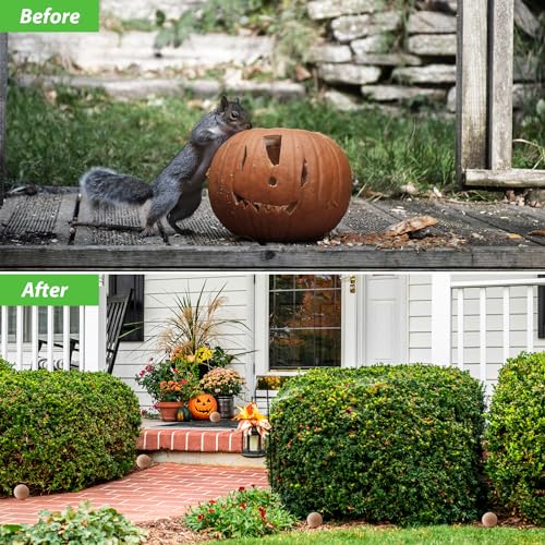 Magic Cat SQ-10 Squirrel Repellent Outdoor thumb #5