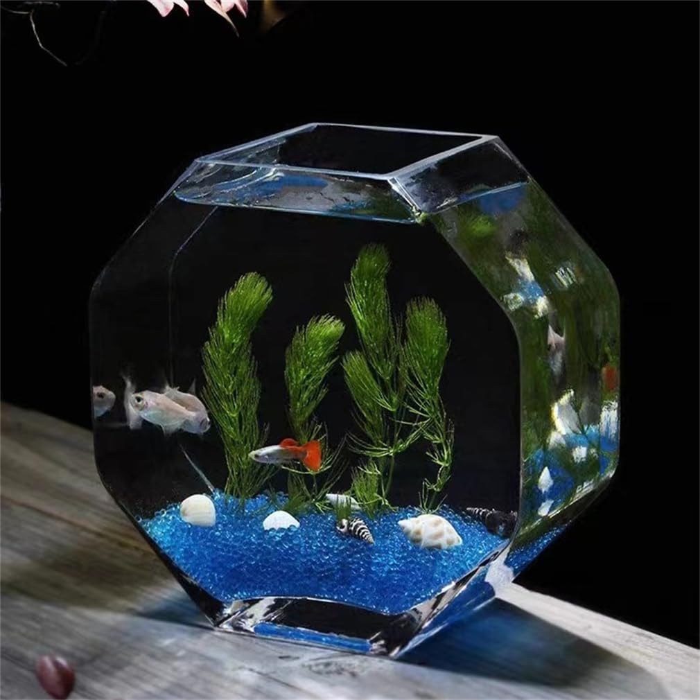 Amazon | 金魚鉢 水槽 小シンク 六角形 おしゃれ ガラス 苔