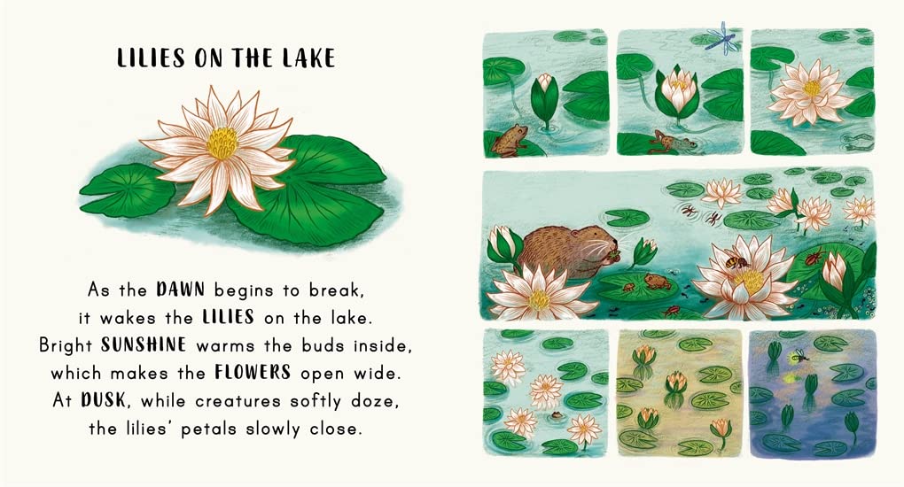 Slow Down… Discover Nature in the Park: Bring calm to Baby's world with 6 mindful nature moments