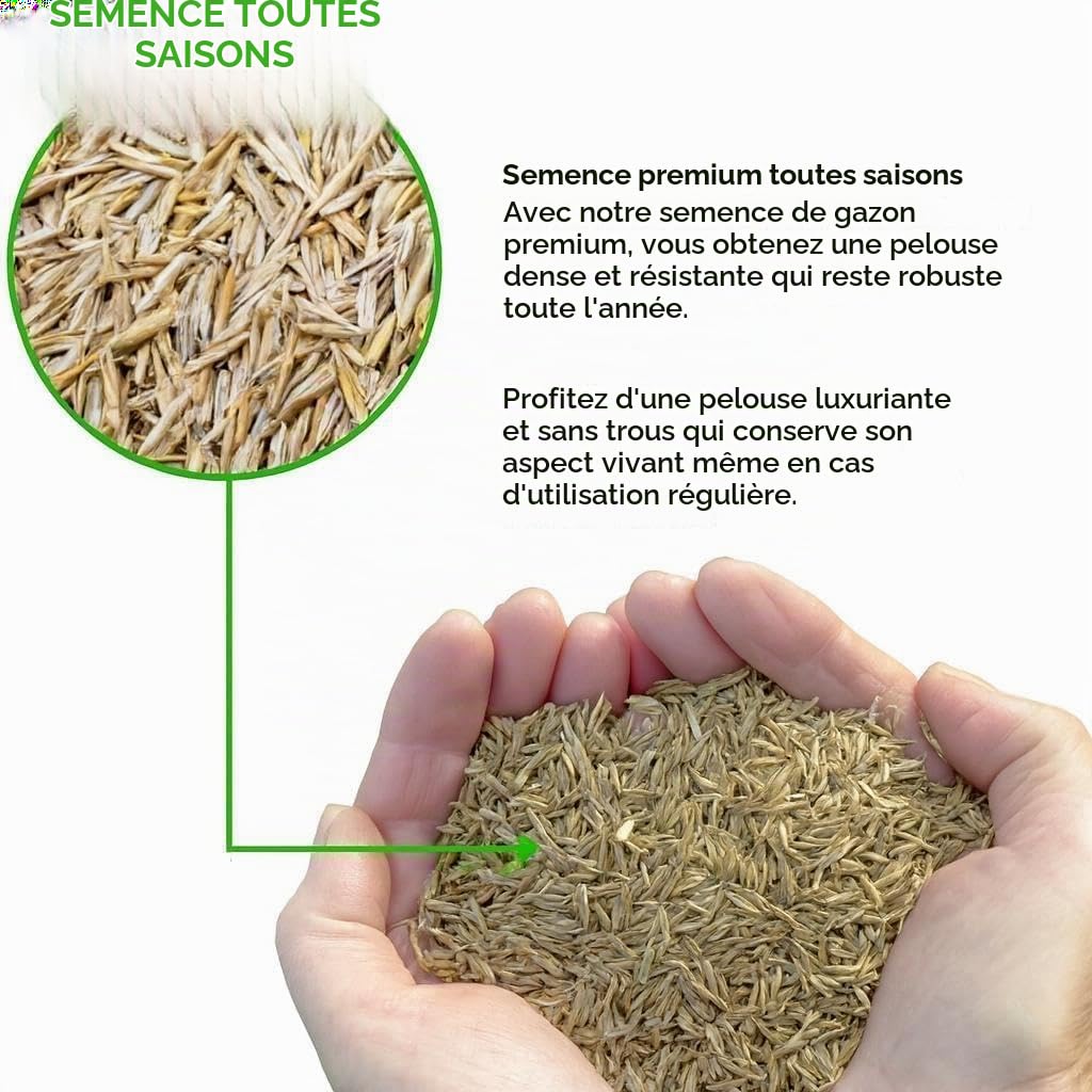 Graines résistantes GroundMaster pour pelouse de qualité supérieure Différentes tailles (10kg, 300m²)