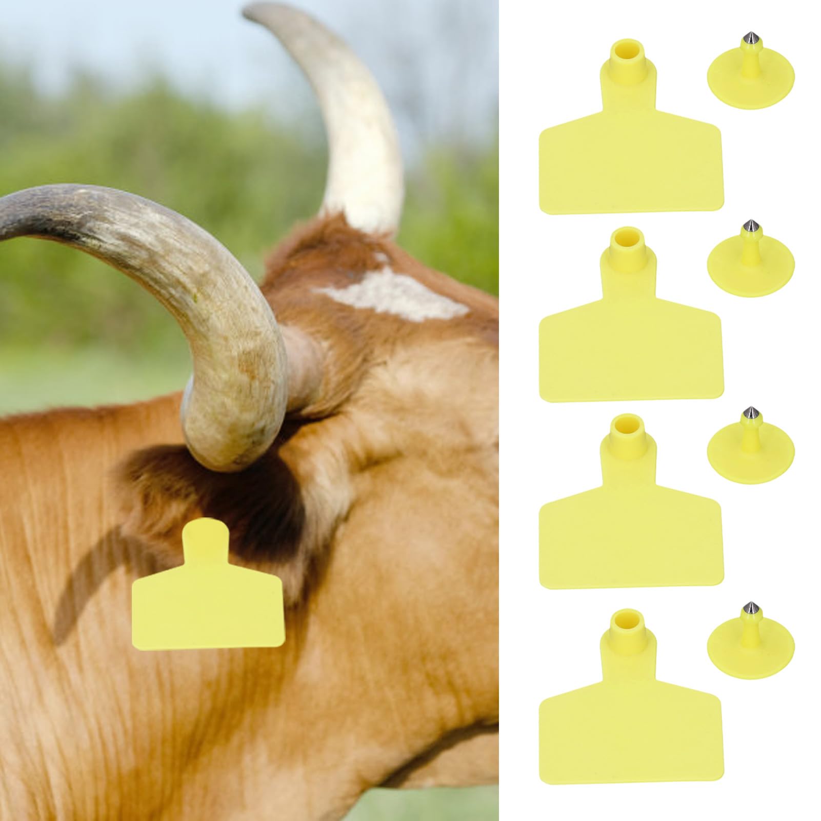 100 Sets Grüne Ohrmarken Blanko - Für Rinder, Schafe, Ziegen 60x75mm