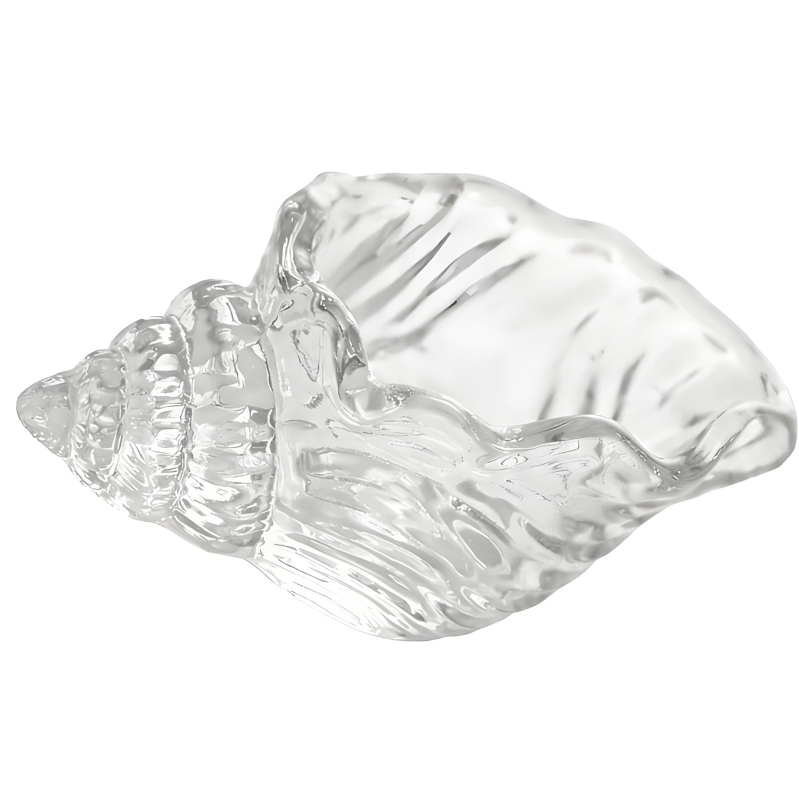 MURYE Glass Shell Vase Clear Conch Tealight Holders Votive Cup for Weddings Aromatherapies Floral Arrangements Bowl Contemporary Glass Candelabra